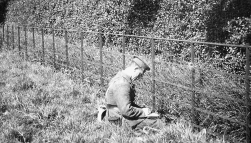 B015 Regimental Sergeant Major Hollett 14th Battalion, Northumberland Fusiliers