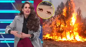 Rebeca Escribens pide al Gobierno atención urgente a incendios forestales: "Ruego que protejan el pulmón de nuestro país"