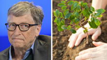 Bill Gates no cree que plantar árboles solucione el cambio climático: "Es un completo sinsentido"