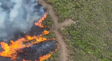 Incendios forestales dejan 14 fallecidos y 98 heridos