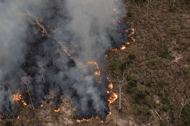 Incendios forestales no pueden ser controlados por producirse en zonas accidentadas. Foto: Difusión   