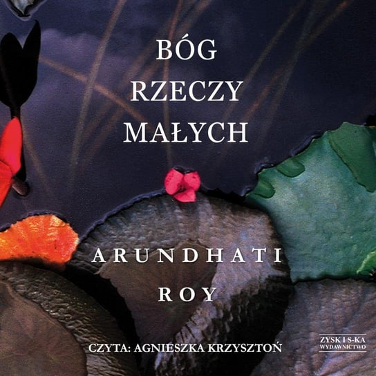 Bóg rzeczy małych Roy Arundhati