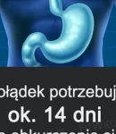 Żołądek potrzebuje ok. 14 dni na...