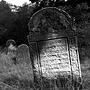 jewish cemetery in żyrardów