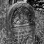 jewish cemetery in sokołów małopolski