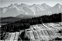 W Pieninach z widokiem na Tatry