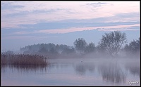 Sunrise over the ponds