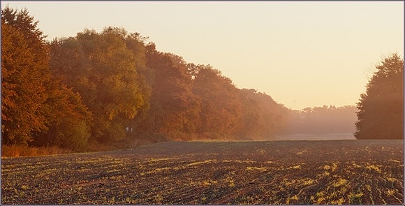 Foggy sunday morning