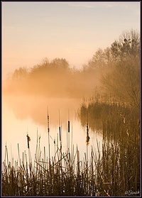 Moody March morning