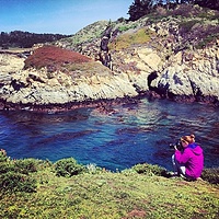 Californiadream #california #usa #seaside