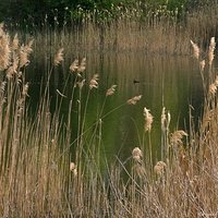 Mały Staw - tam gdzie budzą się smoki