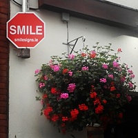 Smile #Dublin #Ireland  #TempleBar