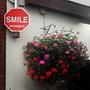 smile #dublin #ireland  #templebar