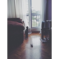 Hans paczy. U #teściowa #cat #fejwryt #pet #waiting #animal #vsco.