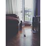 hans paczy. u #teściowa #cat #fejwryt #pet #waiting #animal #vsco