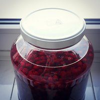 Będzie witaminowe doładowanie zimą #100happydays #day87 #robimynalewke #redcurrant #happy #alcohol #tasty #instadaily #instamood #photooftheday #instalike #sweet #awesome #drink #homemade #instadrink #summer #summertime