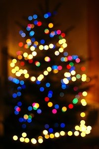 Christmas tree lights