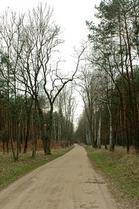 Gdzie był cmentarz w Brzeczce? Teraz już wiem!