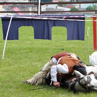 Cz. 6. Western. Koń prawie jak pies.