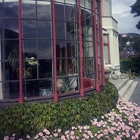 Norge #norway #norwegia #bergen #paradise #villa #Window #flower #sunny