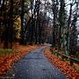 plener jesienny - czyli fotografujemy matkę naturę