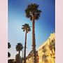 street #spain #palm #tree #nature #scene #sun #hot #amazing #pleace #love #loveit