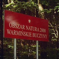 Warmińskie buczyny, bobrze sprawy i zielono mi