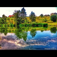 Natura #nature #olsztyn #wadag #rzeka #kiezliny #river #sky #nice #cool #amazing #polska #poland #polen #goodtime #tflers #instadaily #instamood #sony #xperiaL #instafollow #warmia #mazury #travel #holiday #cloudy #igers #igersolsztyn #miastoolsztyn #liki