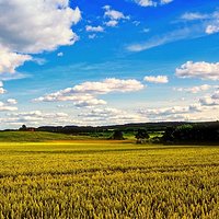 Jestemtwoimwyzwaniem #coolpixaw120 #coolpixkrajobraz #coolpixzdjęciezwakacji #nature #natura #krajobraz #polska #poland #warmia #mazury #landscape #goodtime #follow #followme #instadaily #cool #view #olsztyn #igersolsztyn #olsztyn #sky #summer #holiday