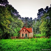 Olsztyn #polska #poland #dom #house #las #forest #natura #nature #polen #igersolsztyn #warmia #mazury #follow #followme #cool #instadaily #goodtime #photooftheday #liking #insta #igers #instamood #fotopawelolsztyn #nice