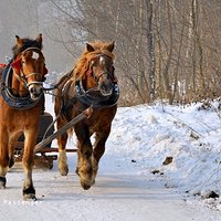 Miłego weekendu majowego!