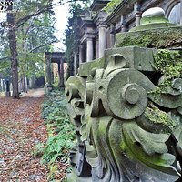 Stary Cmentarz Żydowski we Wrocławiu