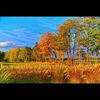 Jesień  #polska #poland #sila #olsztyn  #warmia #mazury #natura #nature #jezioro #wulpinskie #lake #jesien #autumn #gold #sunset #followme #follow #goodtime #lubiepolske #loves_poland #igglobalclub #bestofpoland #photooftheday #fotopawelolsztyn #igersolsz