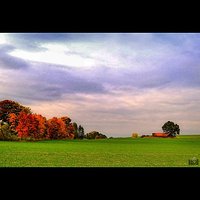 Polska #poland #olsztyn #warmia #mazury #pole #jesien #autumn #sunny #igersolsztyn #follow #followme #goodtime #lubiepolske #loves_poland #loves_europe_ #igglobalclub #photooftheday #fotopawelolsztyn #cool #beautiful #liking #river #natura #nature #instad