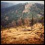 Czechy #andrzejowka #gory #mountain #spiczak #jesien #autumn