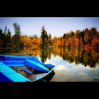 Jesień  #polska #poland #lyna #olsztyn  #warmia #mazury #natura #nature #rzeka #wulpinskie #river #jesien #autumn #gold #sunset #followme #follow #goodtime #lubiepolske #loves_poland #igglobalclub #bestofpoland #photooftheday #fotopawelolsztyn #igersolszt