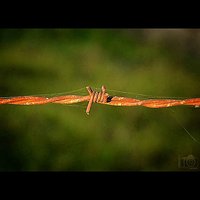 Polska #poland #drut #olsztyn #wire #warmia #mazury #natura #nature #jezioro #jesien #autumn #gold #sunset #followme #follow #goodtime #lubiepolske #loves_poland #igglobalclub #bestofpoland #photooftheday #fotopawelolsztyn #instalike #instadaily #ig_share