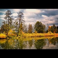 Rzeka Wadąg  #polska #poland #wadag #olsztyn #rzeka #warmia #mazury #natura #nature #river #pochmurno #jesien #autumn #gold #sunset #followme #follow #goodtime #lubiepolske #loves_poland #igglobalclub #bestofpoland #photooftheday #fotopawelolsztyn