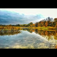 Jezioro Track - Olsztyn  #polska #poland #track #olsztyn #warmia #mazury #natura #nature #jezioro #trackie #lake #jesien #autumn #gold #sunset #followme #follow #goodtime #lubiepolske #loves_poland #igglobalclub #bestofpoland #photooftheday #fotopawelolsz