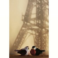 EiffelTower #shadow #birds #Paris #flawlesslove