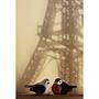 eiffeltower #shadow #birds #paris #flawlesslove