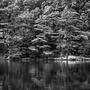 glendalough upper lake - analog