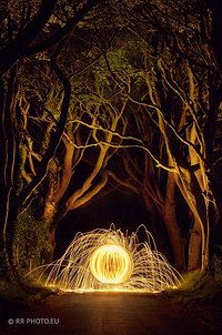 The Dark Hedges