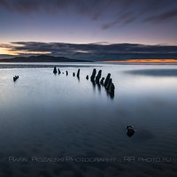 Bull Island - shipwreck