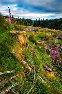 Wicklow National Park