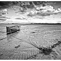 Bull Island - Ireland