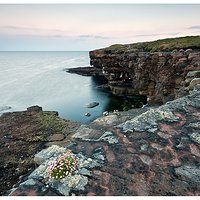 Muckross Head - Ireland