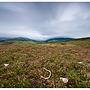 w górach wicklow :: wicklow mountains