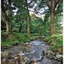 strumienie w glendalough - co. wicklow