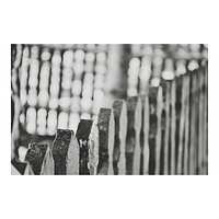 {#hello} {#blackandwhite} {#spring} {#płot} {#fence} {#bokeh} {#black} {#white} {#wiosna} {#deszcz} {#brzydka} {#pogoda} {#happy} {#beauty} {#love} {#rainy_day} {#rainy} {#day} {#my} {#passion} {#zdjęcie} {#photo} {#fotografia} {#art} {#nikon} {#nikon_pl}